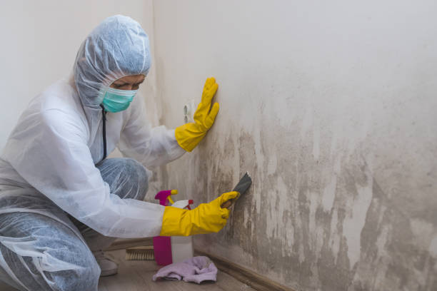 Best Forensic Mold Investigation  in Riverton, UT