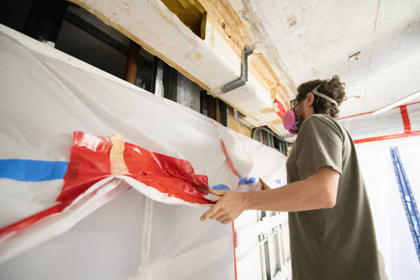 Professional Mold Removal in Riverton, UT